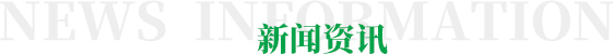 新聞標(biāo)題